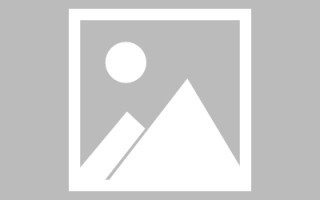 乐平新区景区网站建设（in art criticism,you must assume）